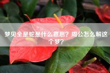 女性学生梦到蛇是什么征兆？揭秘梦境背后的秘密