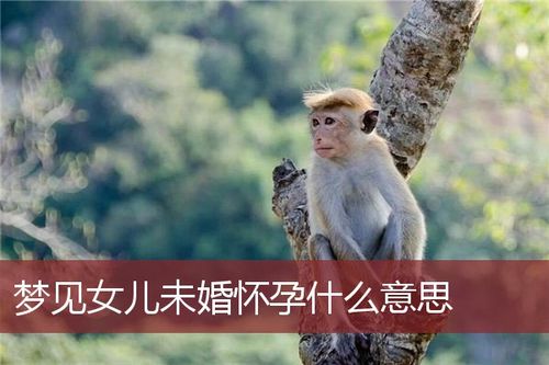 解读学生梦见怀孕要结婚的含义