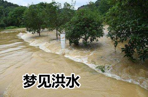 梦见水淹了院子满地是水，这是怎样的预示？