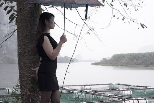 雨中思念：中老年女人的心事