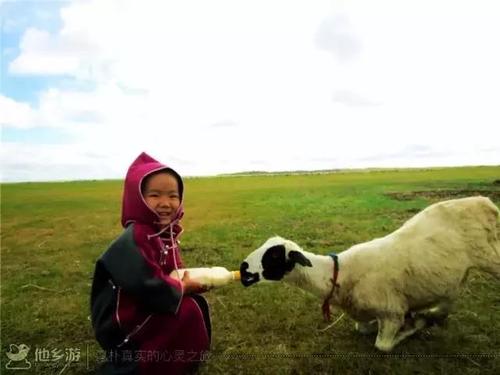 梦见羊还有水——探寻心灵深处的寓意