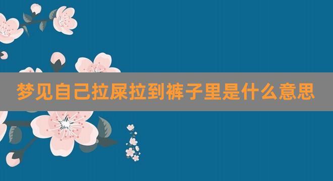 解析60岁女性梦见自己拉大便的深层含义