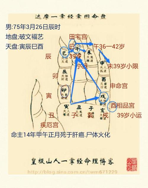 解锁运势的神秘密码——免费算命运程