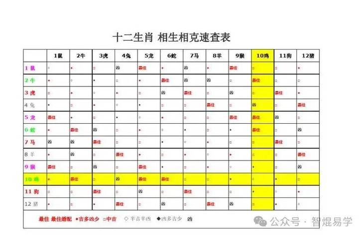 探寻董易林十二生肖今日运势，解读命运密码！