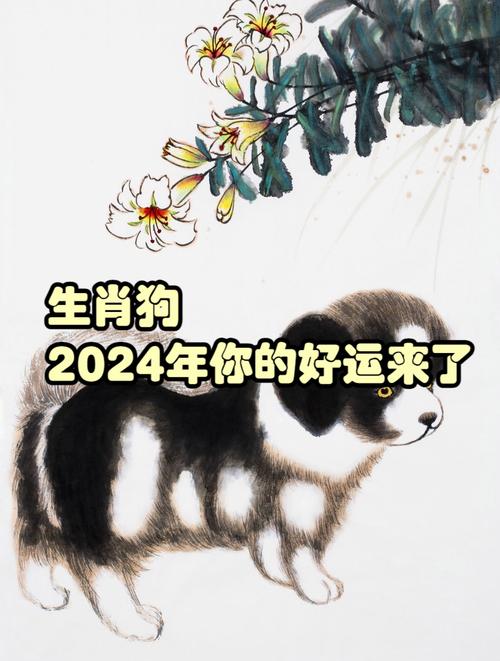 生肖狗2024年财运如何？