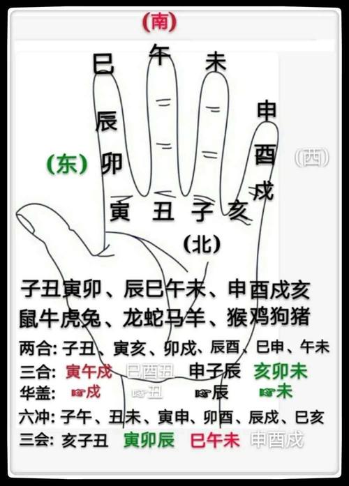 探秘“输入一个字算命免费”，解读神秘的命理奥秘