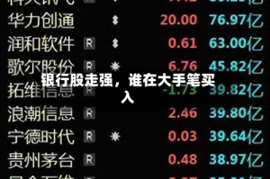 银行股走强，谁在大手笔买入