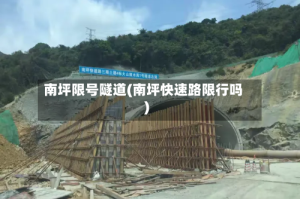 南坪限号隧道(南坪快速路限行吗)