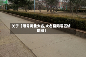 关于【限号河北大名,大名县限号区域地图】
