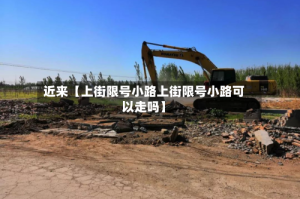 近来【上街限号小路上街限号小路可以走吗】