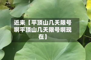 近来【平顶山几天限号啊平顶山几天限号啊现在】