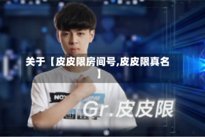 关于【皮皮限房间号,皮皮限真名】