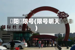 洺阳巿限号(限号明天)