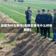高陵为什么限号(高陵区限号什么时候解除)