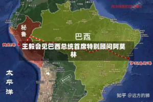 王毅会见巴西总统首席特别顾问阿莫林