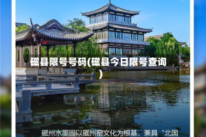 磁县限号号码(磁县今日限号查询)