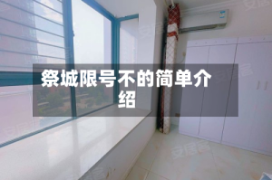 祭城限号不的简单介绍