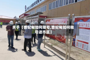 关于【曹妃甸如何限号,曹妃甸如何限号进市区】