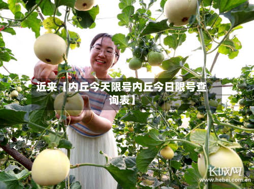 近来【内丘今天限号内丘今日限号查询表】-第1张图片
