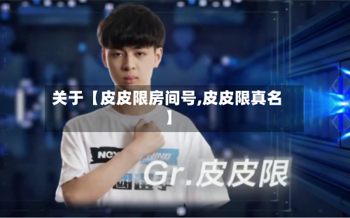 关于【皮皮限房间号,皮皮限真名】-第1张图片