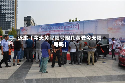 近来【今天黄骅限号限几黄骅今天限号吗】-第1张图片