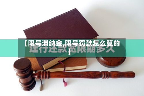 【限号滞纳金,限号罚款怎么算的】-第2张图片