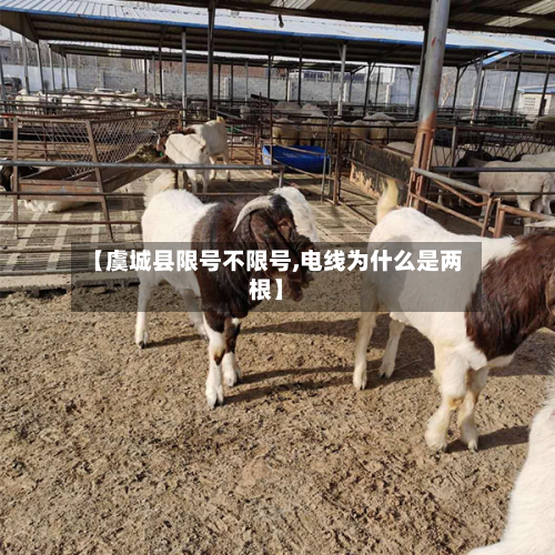 【虞城县限号不限号,电线为什么是两根】-第1张图片