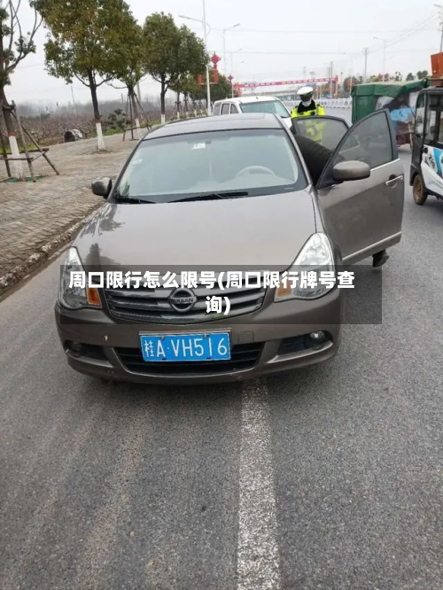 周口限行怎么限号(周口限行牌号查询)-第2张图片