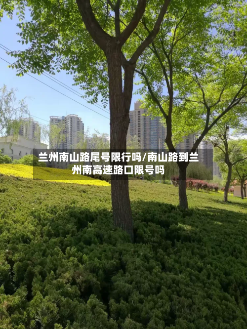兰州南山路尾号限行吗/南山路到兰州南高速路口限号吗-第2张图片