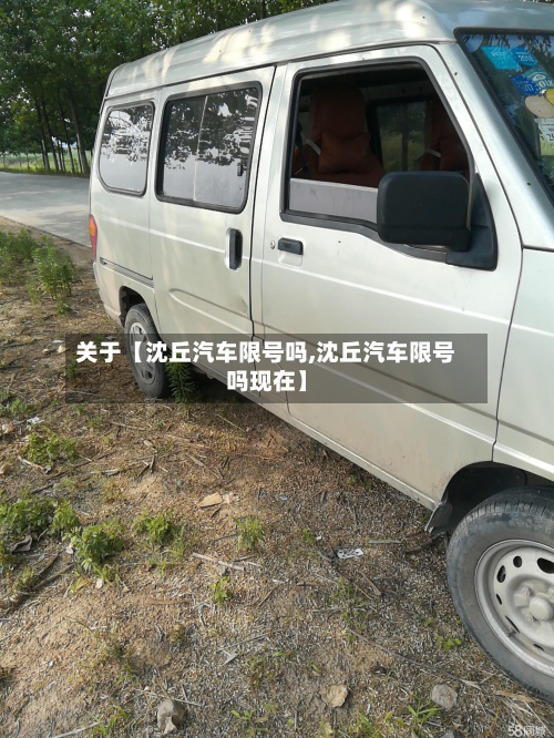 关于【沈丘汽车限号吗,沈丘汽车限号吗现在】-第2张图片