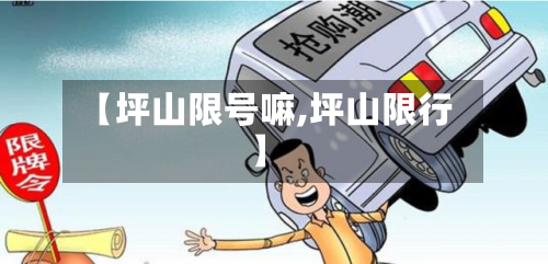 【坪山限号嘛,坪山限行】-第3张图片