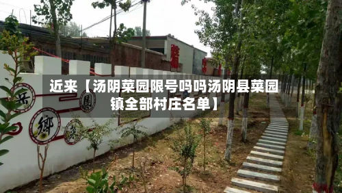 近来【汤阴菜园限号吗吗汤阴县菜园镇全部村庄名单】-第2张图片