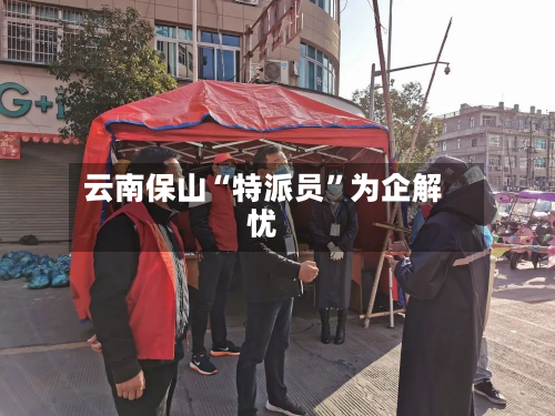 云南保山“特派员	”为企解忧-第1张图片