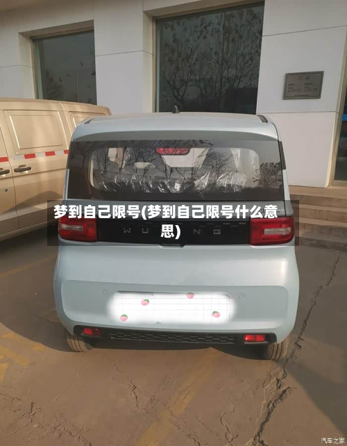 梦到自己限号(梦到自己限号什么意思)-第2张图片