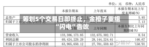 筹划5个交易日即终止	，金橙子重组“闪电”告吹-第1张图片