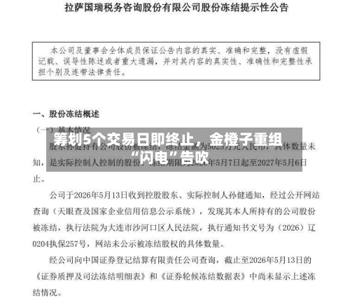 筹划5个交易日即终止，金橙子重组“闪电	”告吹-第2张图片