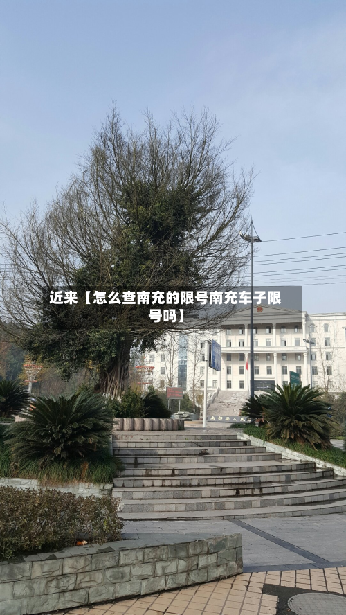 近来【怎么查南充的限号南充车子限号吗】-第1张图片