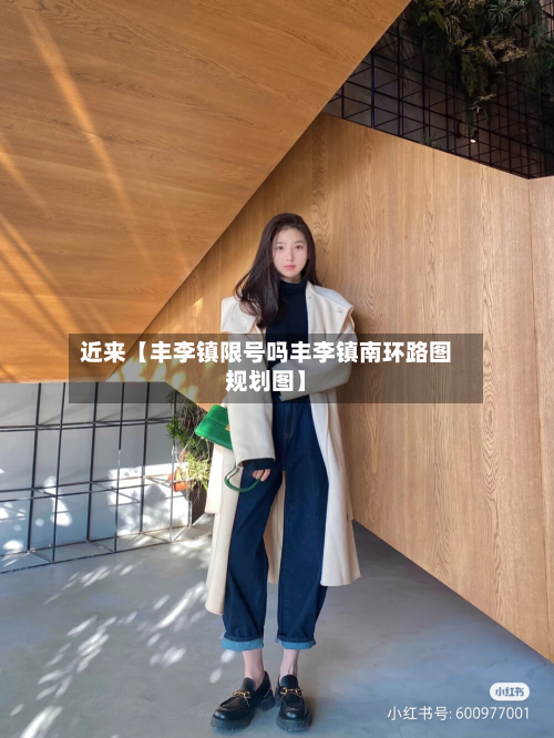 近来【丰李镇限号吗丰李镇南环路图规划图】-第1张图片