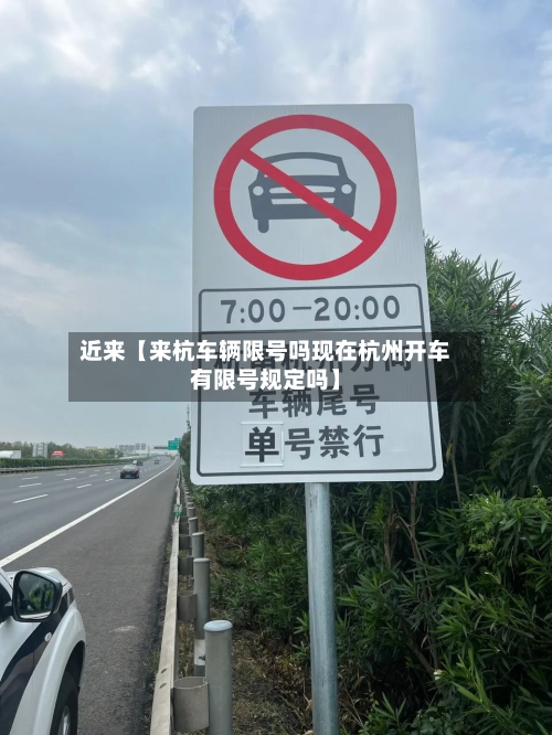 近来【来杭车辆限号吗现在杭州开车有限号规定吗】-第2张图片