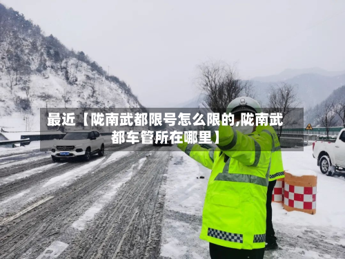 最近【陇南武都限号怎么限的,陇南武都车管所在哪里】-第1张图片