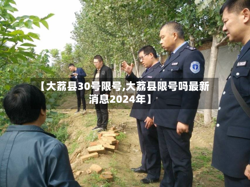 【大荔县30号限号,大荔县限号吗最新消息2024年】-第2张图片