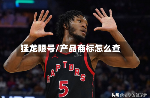 猛龙限号/产品商标怎么查-第2张图片