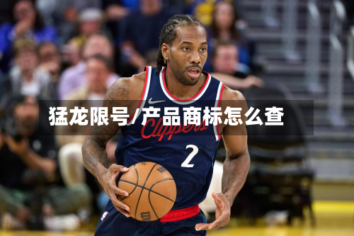 猛龙限号/产品商标怎么查-第3张图片