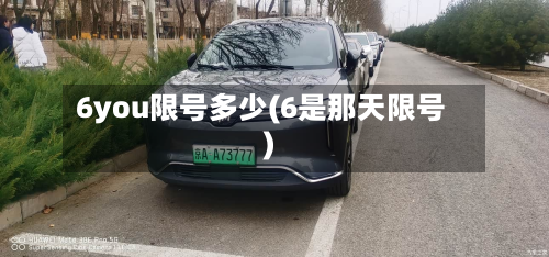 6you限号多少(6是那天限号)-第3张图片