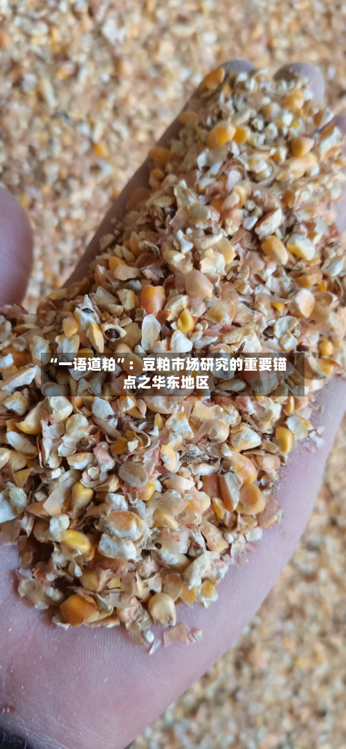“一语道粕	”：豆粕市场研究的重要锚点之华东地区-第2张图片