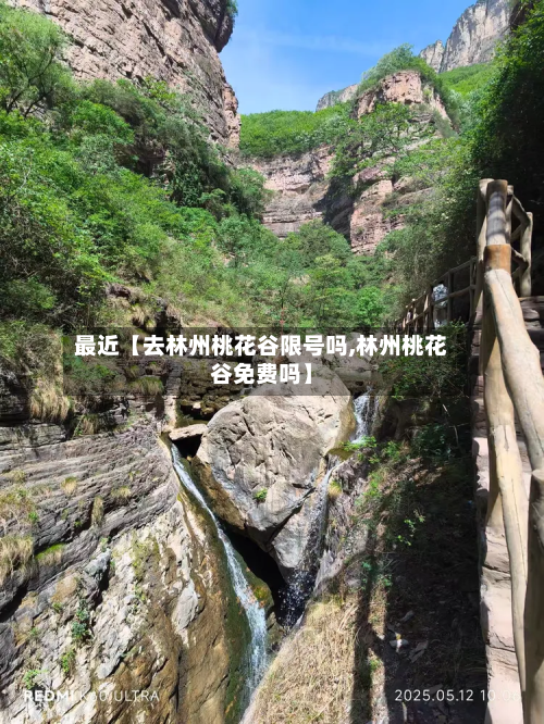 最近【去林州桃花谷限号吗,林州桃花谷免费吗】-第1张图片