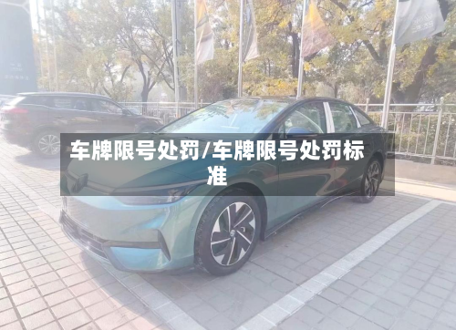 车牌限号处罚/车牌限号处罚标准-第2张图片