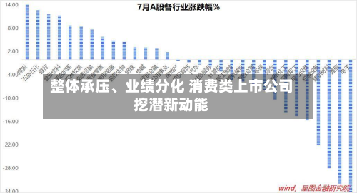 整体承压、业绩分化 消费类上市公司挖潜新动能-第1张图片