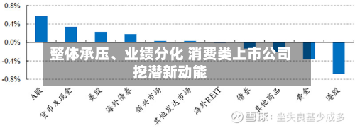 整体承压	、业绩分化 消费类上市公司挖潜新动能-第2张图片